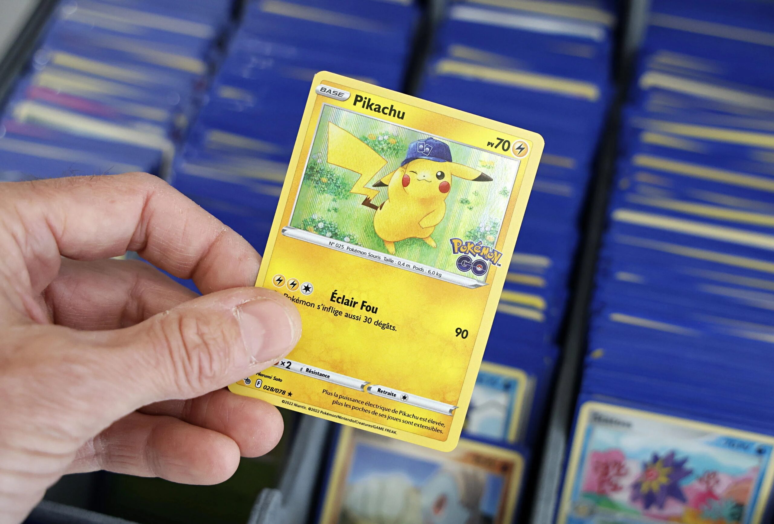 Quando un hobby diventa investimento: il mercato multimiliardario delle carte da gioco